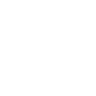 Walt Disney Co. Logo