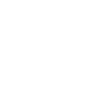 Lucid Group, Inc. Logo