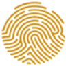 Pan African Resources PLC Logo