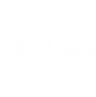 SELLAS Life Sciences Group, Inc. Logo