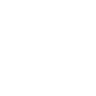 Stellantis N.V. Logo